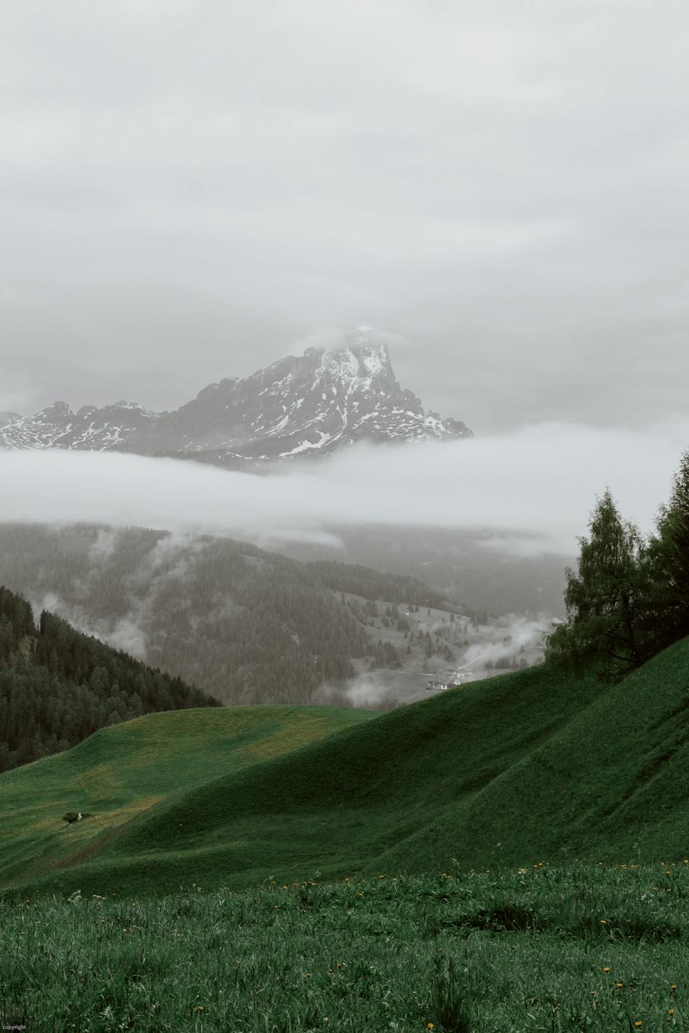 Mountain Music
