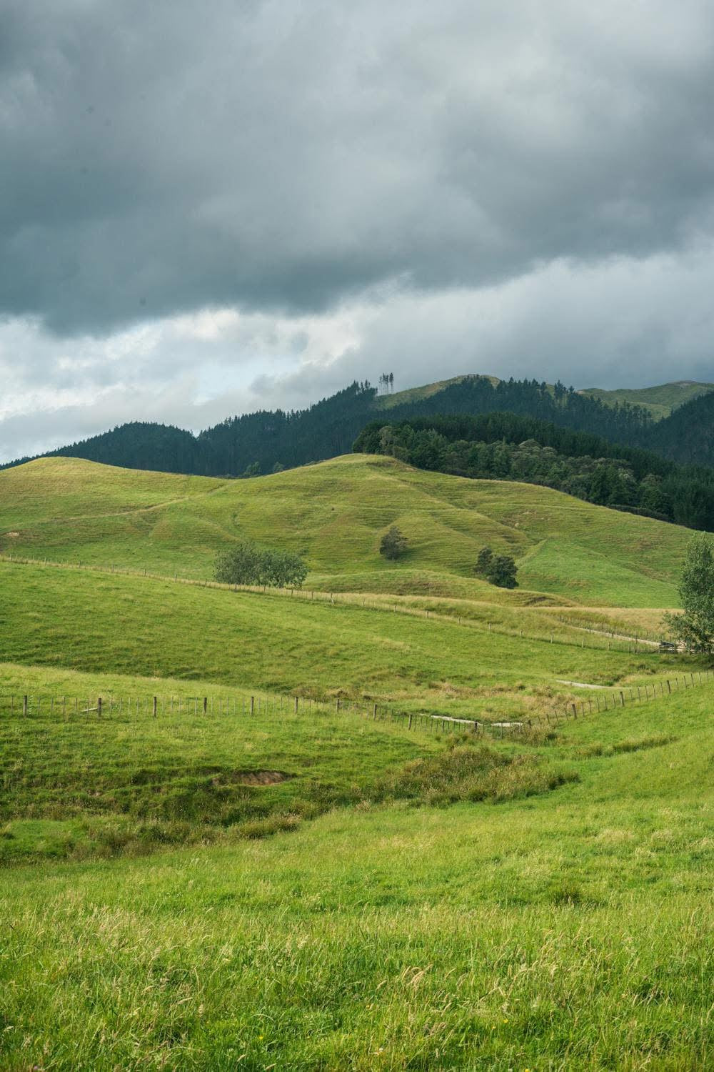 The Shire