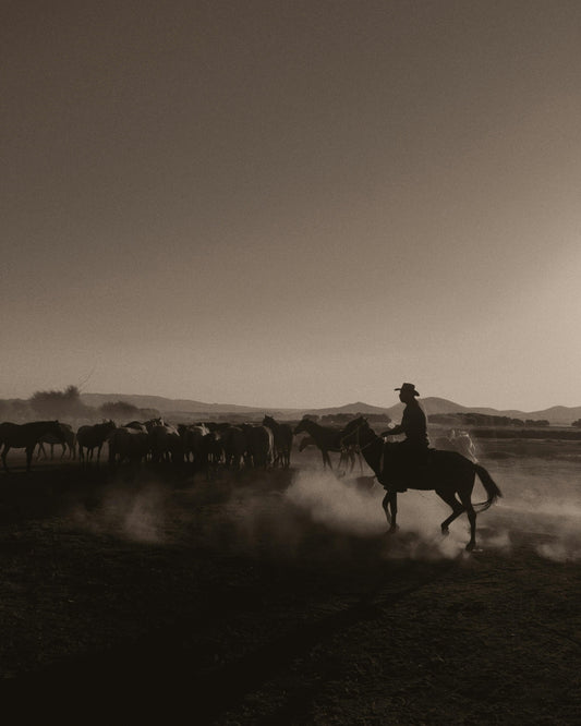 Where Have All The Cowboys Gone