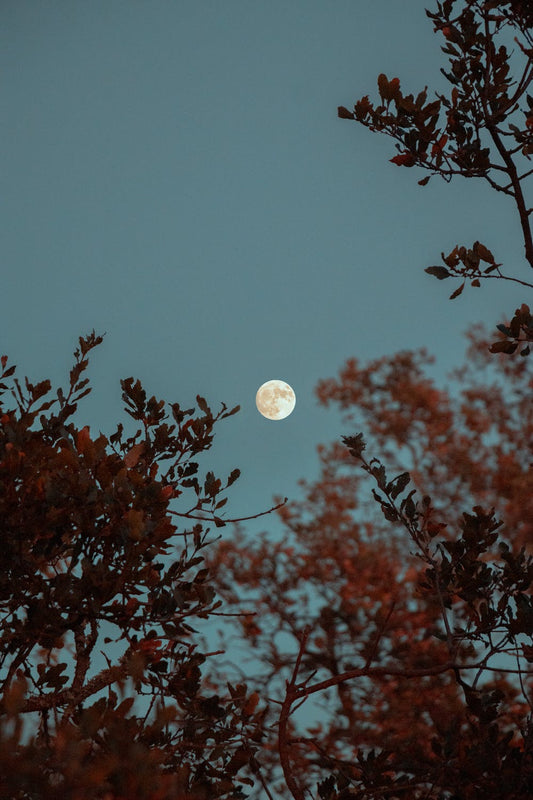 Drops of Jupiter